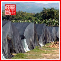 Black Sunshade net made in china